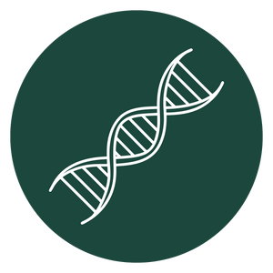 DNA Testing