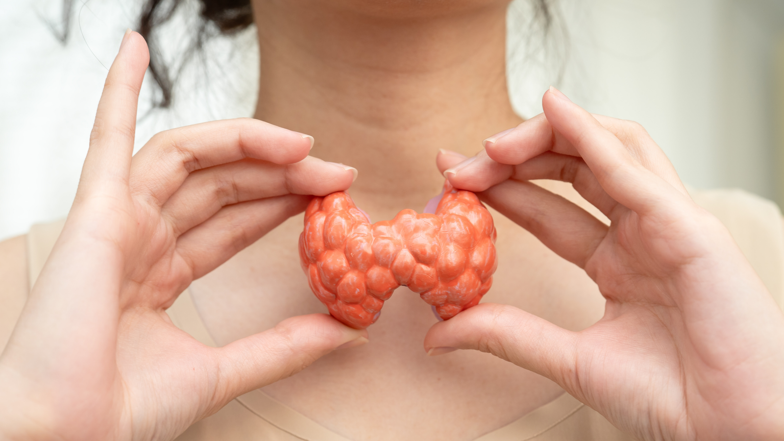 Hashimotos thyroid nutrition therapy