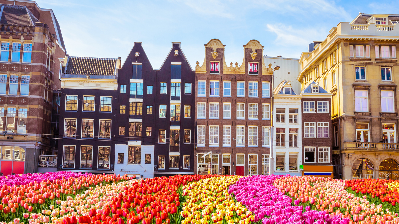 Amsterdam Netherlands expat dietitian